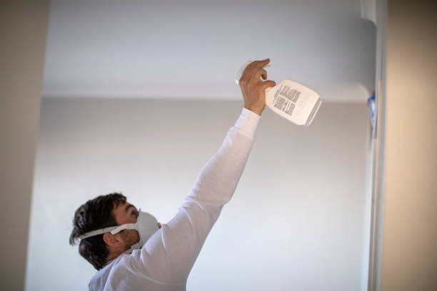 Best Toxic Mold Removal  in Brownstown, PA