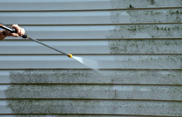 Best Mold Damage Repair  in Brownstown, PA