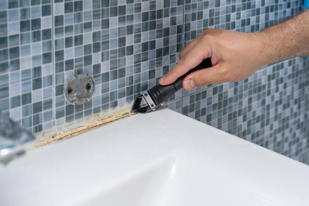 Trusted Brownstown, PA Mold Removal Experts