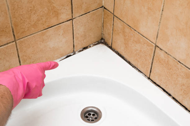 Best Residential Mold Removal  in Brownstown, PA